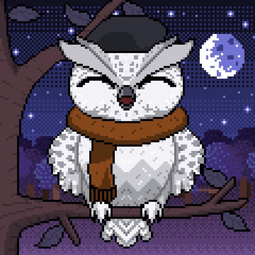 NFT_Crypto12's tweet photo. Thank you to @0xPavlo of @NightOwlsNFT and @izziee_eth of @TKPnft for my giveaway prizes! Two genuinely wonderful people🙂🦉 https://t.co/6z8LLourFI