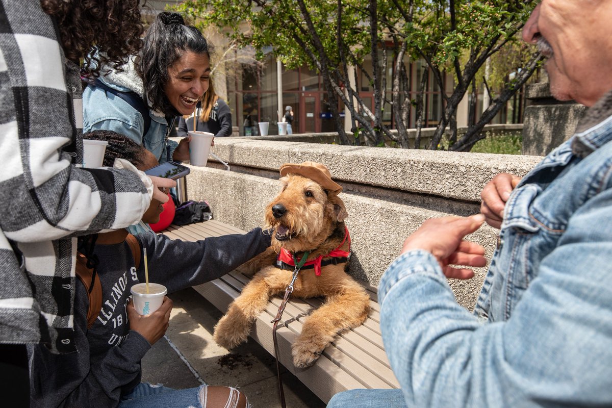 jcfclark's tweet photo. Easily one of the best events to cover on campus. Therapy dogs comfort students during finals week. https://t.co/taO7d13YhM