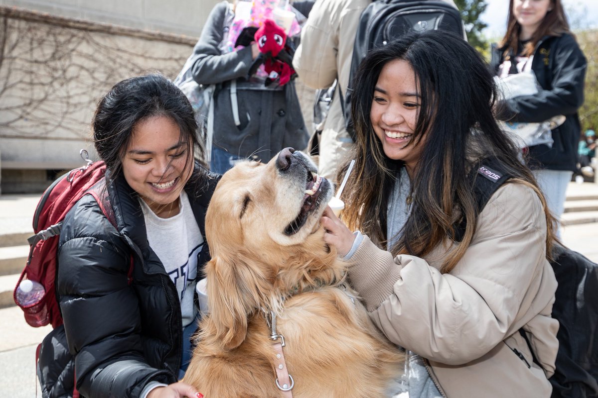 jcfclark's tweet photo. Easily one of the best events to cover on campus. Therapy dogs comfort students during finals week. https://t.co/taO7d13YhM