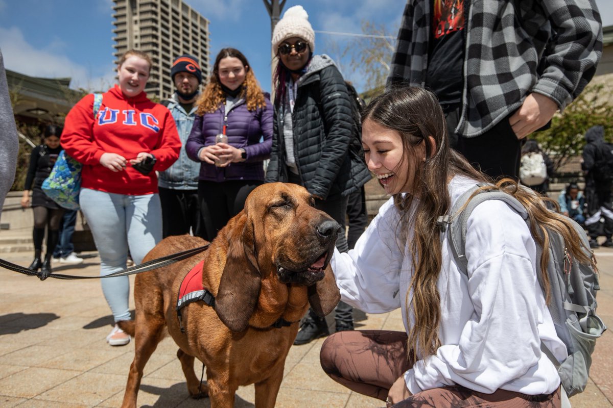 jcfclark's tweet photo. Easily one of the best events to cover on campus. Therapy dogs comfort students during finals week. https://t.co/taO7d13YhM