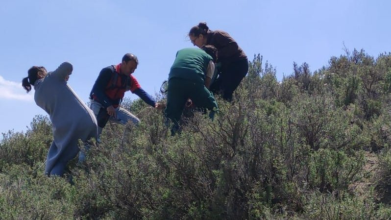 CITAAragon's tweet photo. Presentación del Grupo de Cooperación del proyecto #PDR #RecolectaPAM, coordinado por @JulyNavarroRo, investigadora del Departamento de Ciencia Vegetal del CITA, donde se ha mostrado el plan de actividades técnicas y se ha visitado la finca piloto de #aromáticas 
@GobAragon https://t.co/lLLwlq6NNb