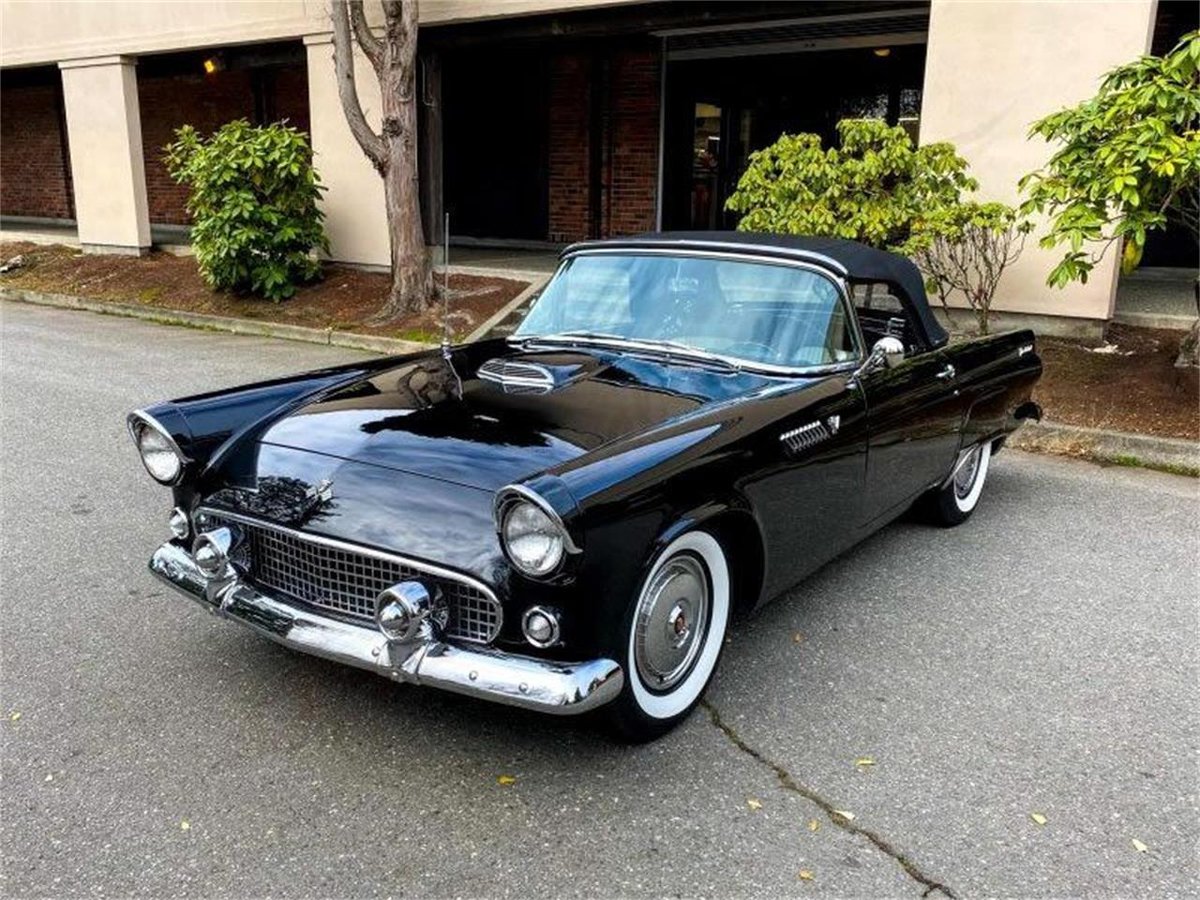 Larrys_TBird's tweet photo. #ThunderbirdThursday! Save 25% on a new heater motor switch for 1955-57 #Ford #Thunderbirds!

Link: https://t.co/IwEMnM14L4

#fordmotorcompany #fordparts #fordthunderbird #fordtbird #tbirdcarclub #vintageford #classicford #fordfairlane #fairlane #sunliner #thunderbird #tbird https://t.co/vQRCfdcrKC