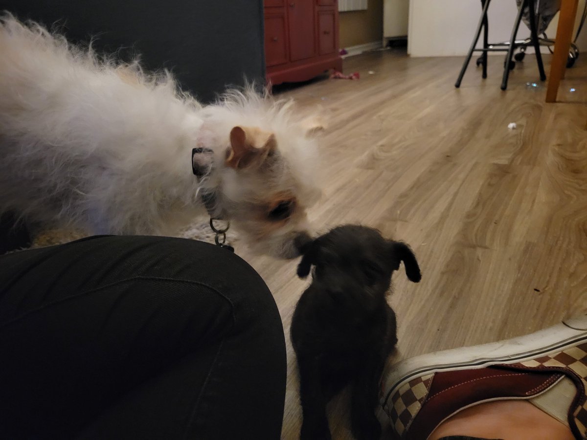 beanzz_xoxo's tweet photo. And then there were 2! 🤩🤩 https://t.co/SJmTakZErL