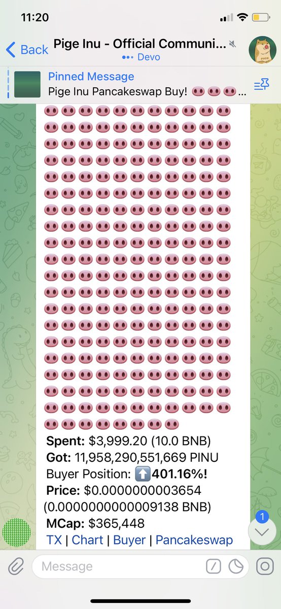 gustavoalain's tweet photo. @1goonrich Lets go!!! Join the party 🐷🐷🐷@1goonrich #PigeInu #PigeArmy https://t.co/lohpGnTyOX