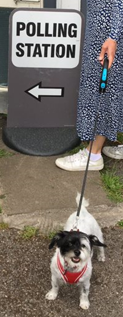 sentientism's tweet photo. #dogsatpollingstations will have a very different feel when they have representation in our democracy... 🐶🗳️
https://t.co/rlEprxoxNv
#SentientistPolitics https://t.co/RM1zk0uqeP
