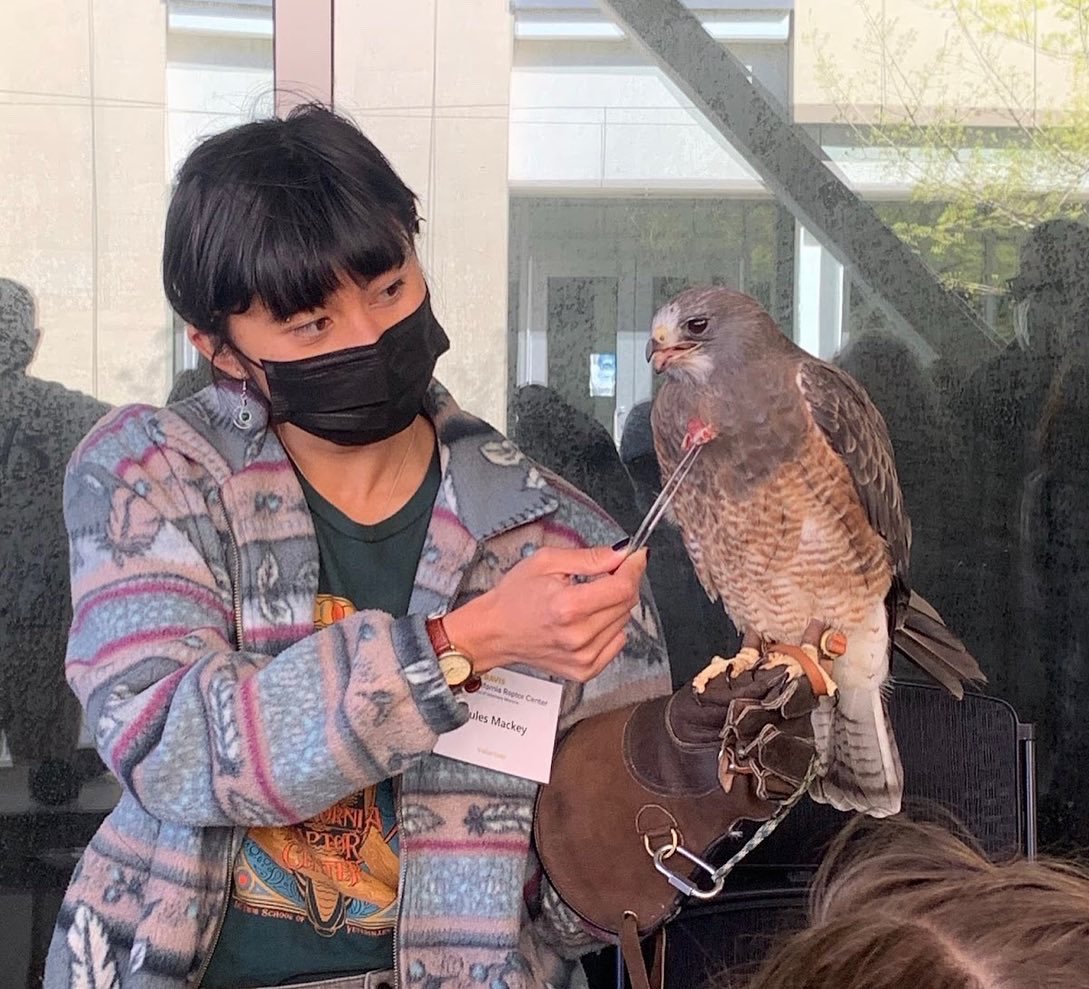 BioDivDay's tweet image. Want to test your biodiversity skills?

Name the three collections/museums featured in this post that were on display at UC Davis Biodiversity Museum Day. Reply with your guesses and check for a post tomorrow with the results!

#UCDavis #BiodiversityMuseumDay