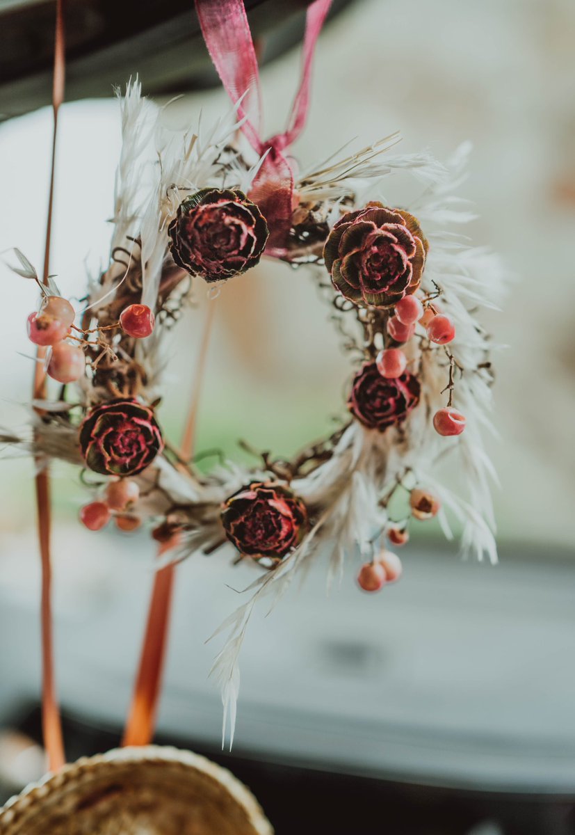 Taylor 🌿 tweet media