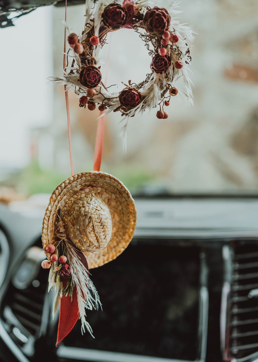 Taylor 🌿 tweet media