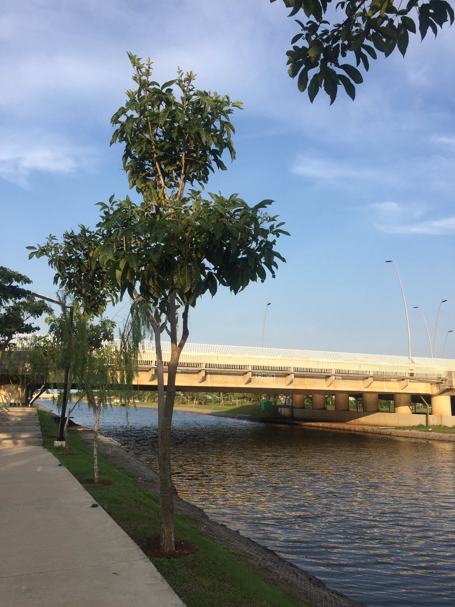 brigitalr's tweet image. cgk cerach ☀️