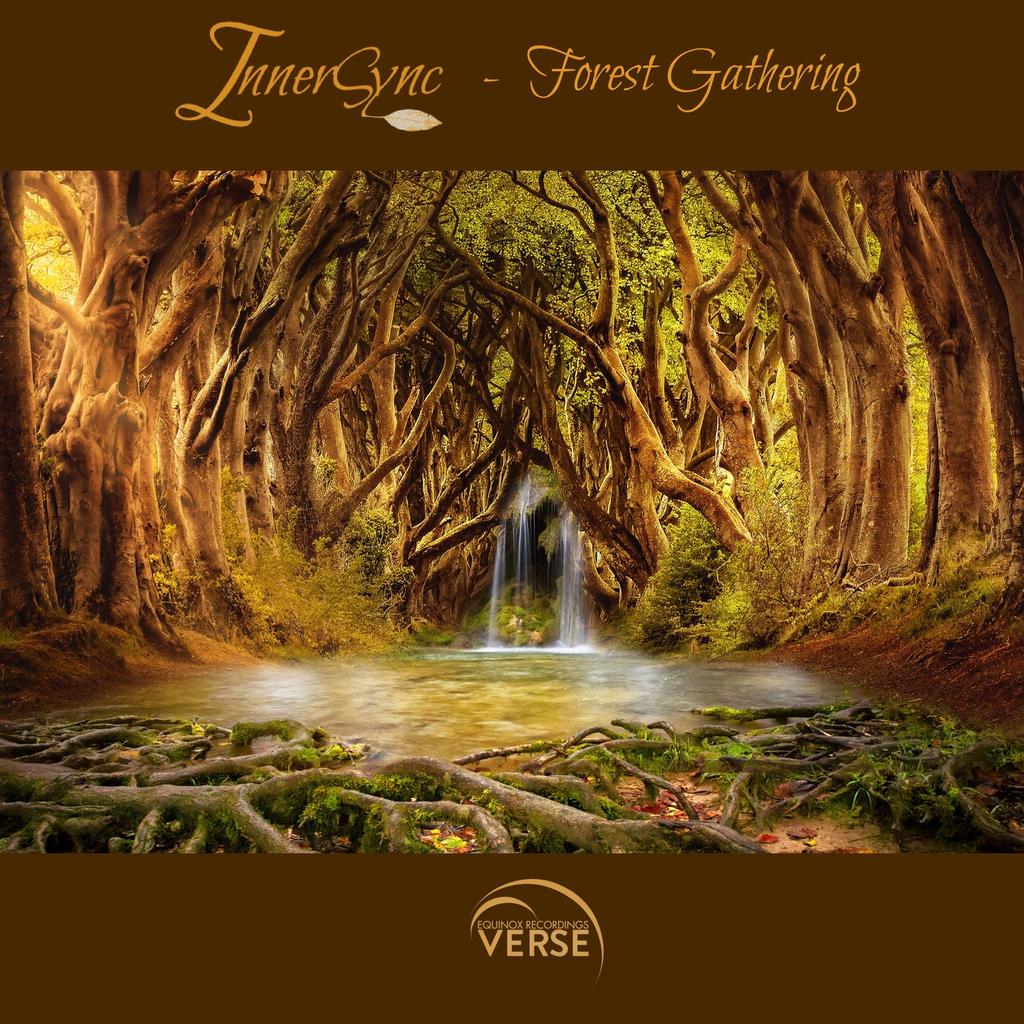 6. FAN FAVORITE 479: 
<a href="/InnerSyncMusic/">InnerSync</a> - Forest Gathering (Original Mix) [<a href="/verserecordings/">VERSE Recordings</a>] #UpOnly482
