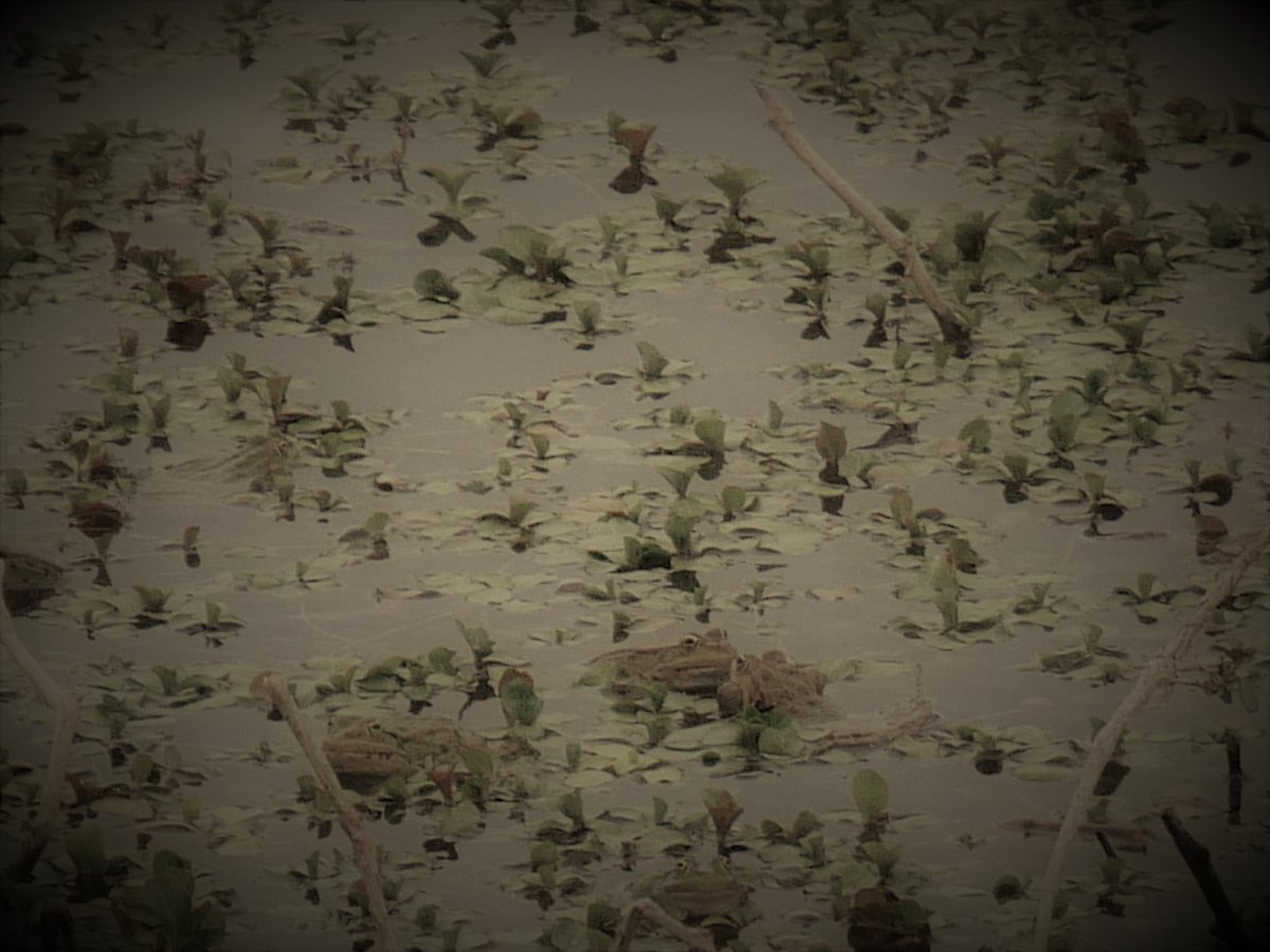 groundways's tweet image. Bons baisers, à bientôt !