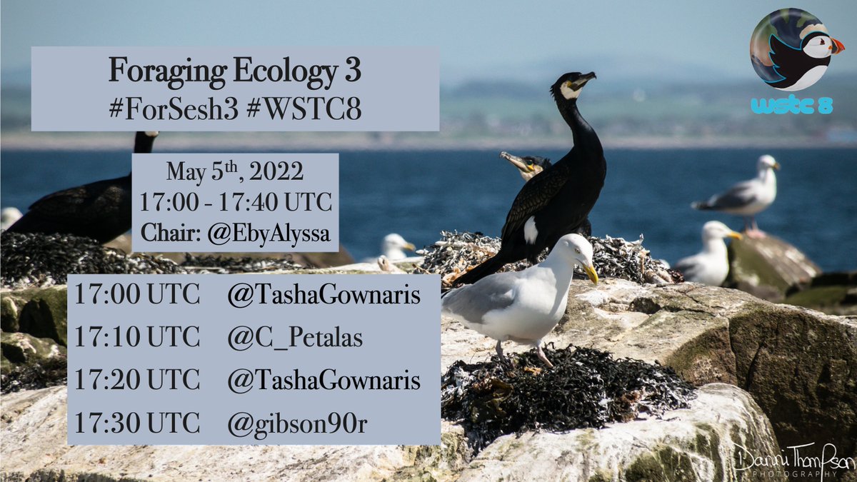 EbyAlyssa's tweet photo. Fascinated by foraging ecology? Me too!

Join me in 30 minutes⏰for the final foraging ecology session #ForSesh3 at #WSTC8 on May 5th at 17:00 UTC! https://t.co/qAWhH3gvyd