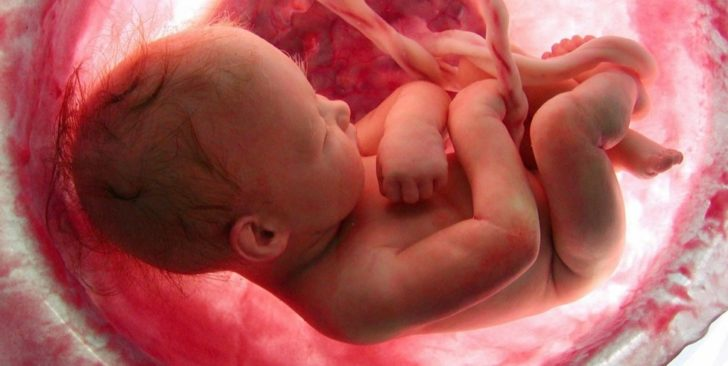 christopheryuan's tweet photo. Murder has NEVER been a constitutional right, especially when the murderer and accomplices are the ones who make the "choice" #ProChoiceisProMurder https://t.co/UpRZTcMqMv