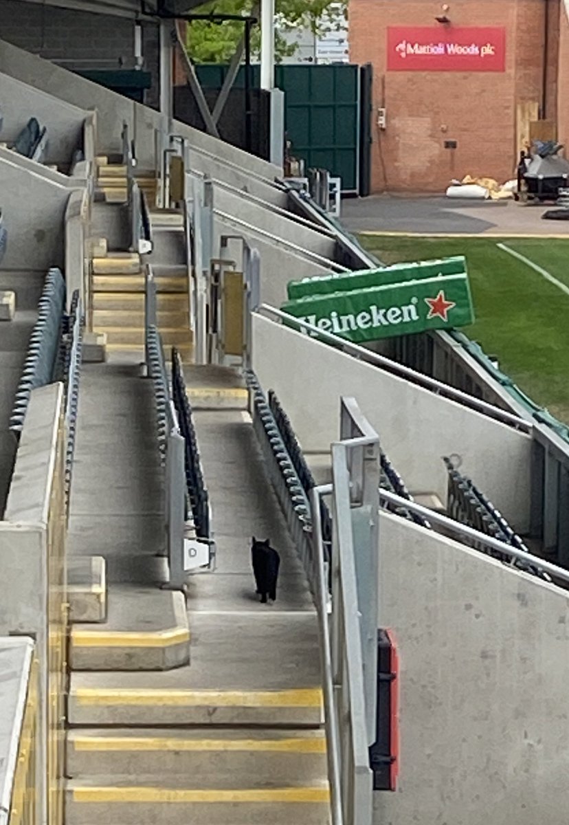 🤔 We’re <a href="/LeicesterTigers/">Leicester Tigers</a> not Leicester Panthers!