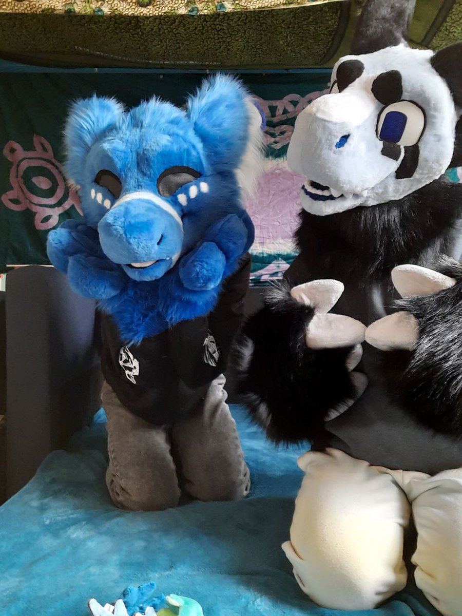 FluffShark's tweet photo. Here's some photo's i took together with @Bye_Maxwell :)

Suit by @YBLSuits ! https://t.co/kje5nl5OCk