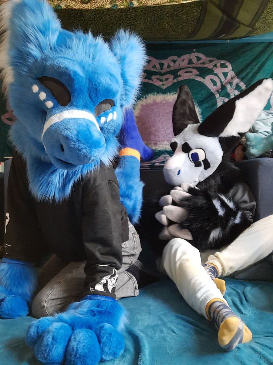 FluffShark's tweet photo. Here's some photo's i took together with @Bye_Maxwell :)

Suit by @YBLSuits ! https://t.co/kje5nl5OCk