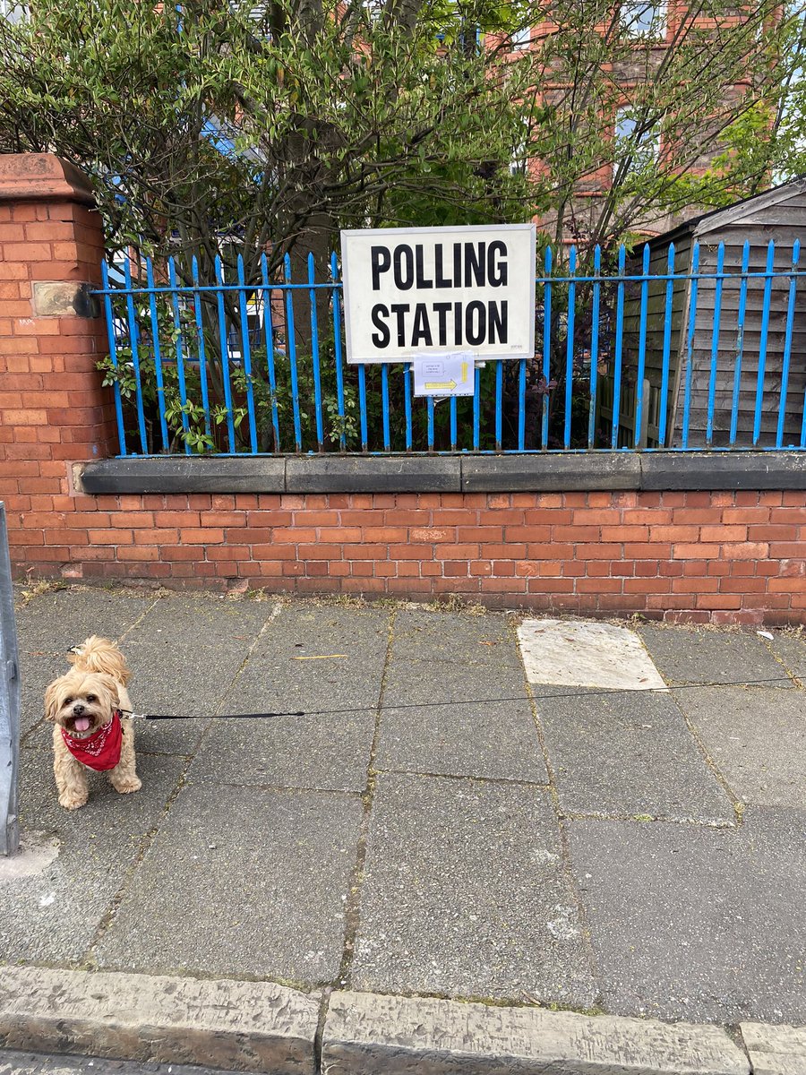 Slugpoo's tweet photo. Sonny begrudgingly voted Labour 🙄He did however keep barking ‘Starmer’s a Tory’ &amp; insisted on wearing his red bandana…he wishes to make clear this is in support of @LFC and not Labour. Needs must to send a clear message to this laughable government 😵‍💫

 #dogsatpollingstations https://t.co/iDIyb5KUHN