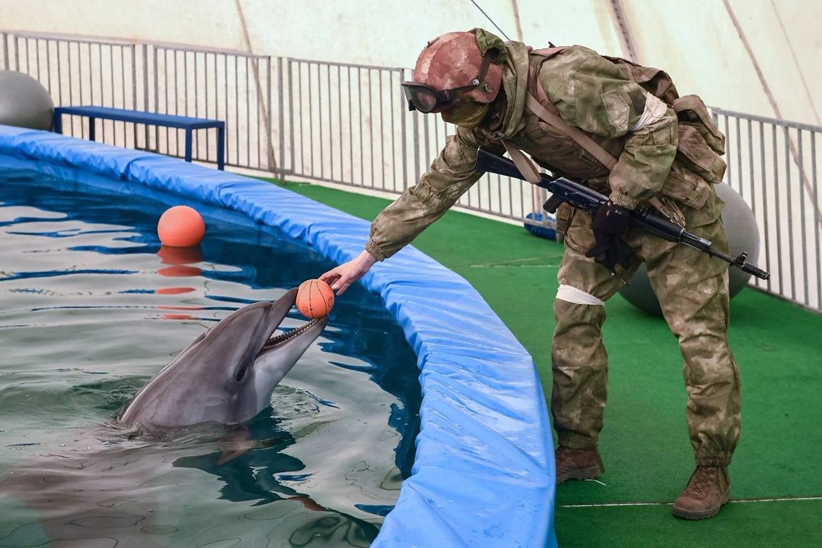 RWApodcast's tweet photo. National Guard after delivering a shipment of food to the dolphins at the aquarium in Skadovsk, Kherson oblast https://t.co/dCnGBsnapj