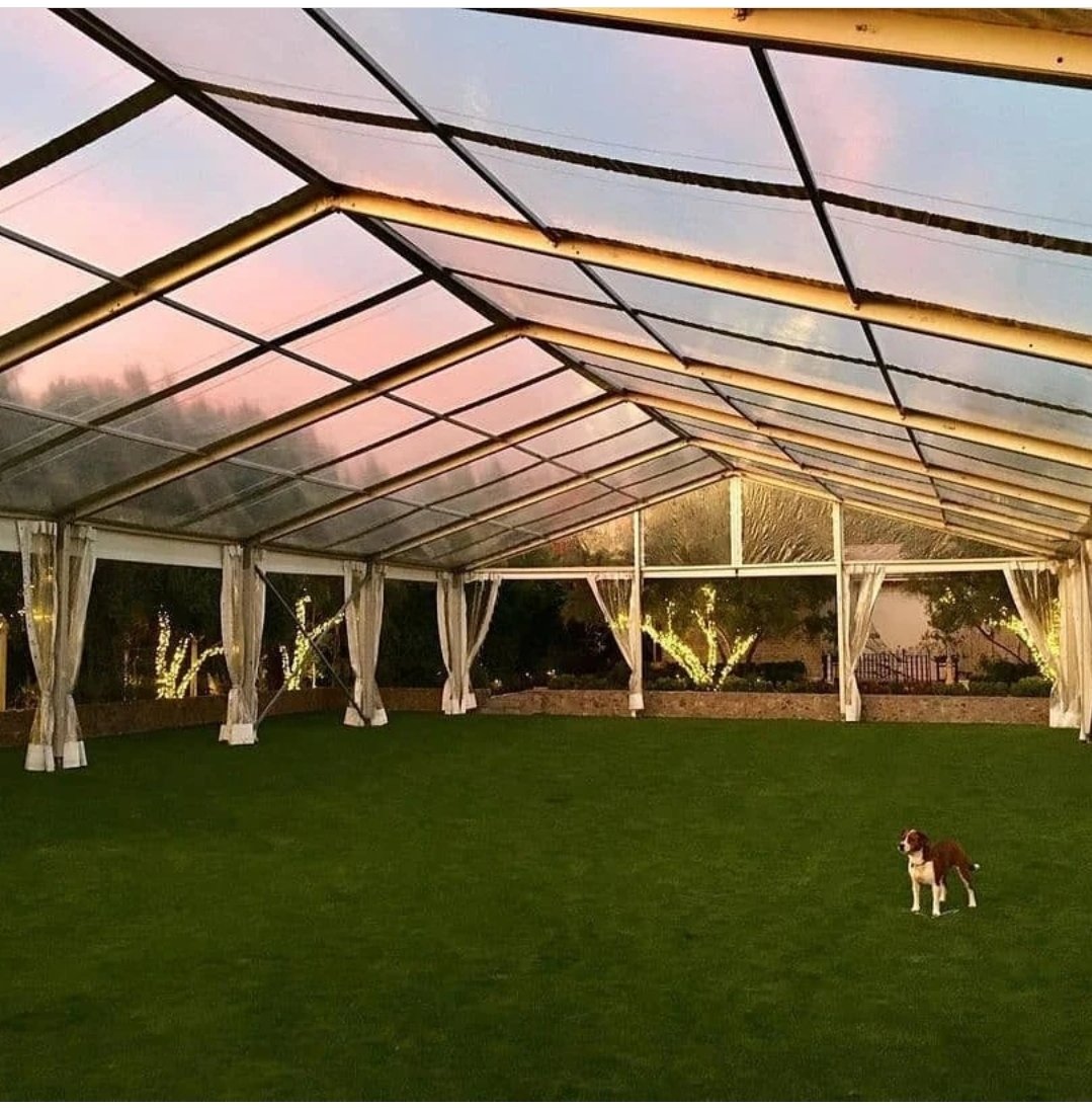 LosbergerUS's tweet photo. 🌤 Is it an awesome view or a pawsome view? We say samesies. 🐕

⛺️ @ProEmEvents

#losbergerdeboer #losberger #tbt #clearspan #views #cleartops #eventprofs
#events #weddings #tentmanufacturers https://t.co/iWnMjGtidY