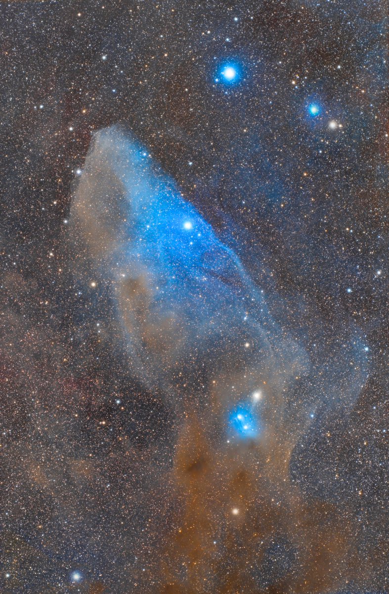 GalacticHunter_'s tweet photo. 420 light-years away there is a blue horse hiding, close to the Milky Way band, here is the Blue Horsehead Nebula! A difficult but fun broadband target. Shot with a small refractor and @QHYCCD 600C from a Bortle 2 zone.
More details: https://t.co/QeuFoWh1lB https://t.co/5FZiM3nWVG