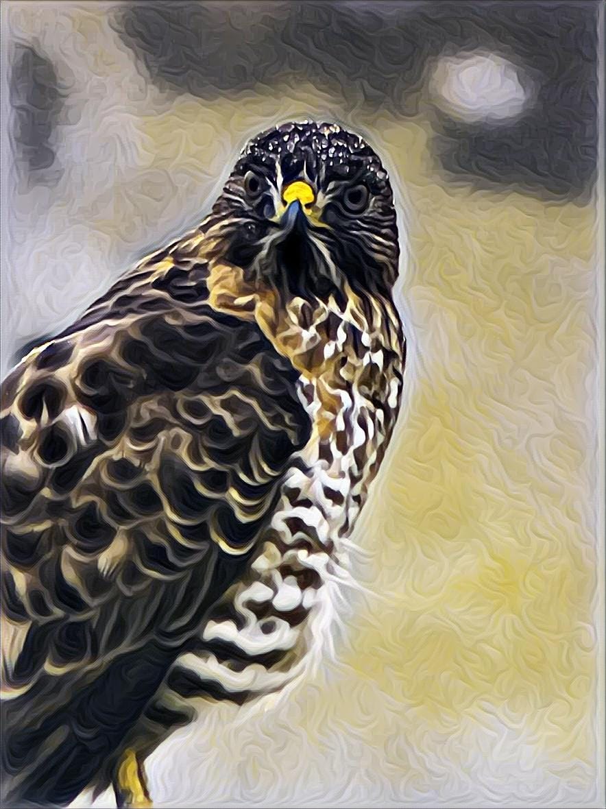 Natur3N's tweet photo. Check out this item on OpenSea https://t.co/mz86k9GvlY via @opensea https://t.co/0oQE2vnump
