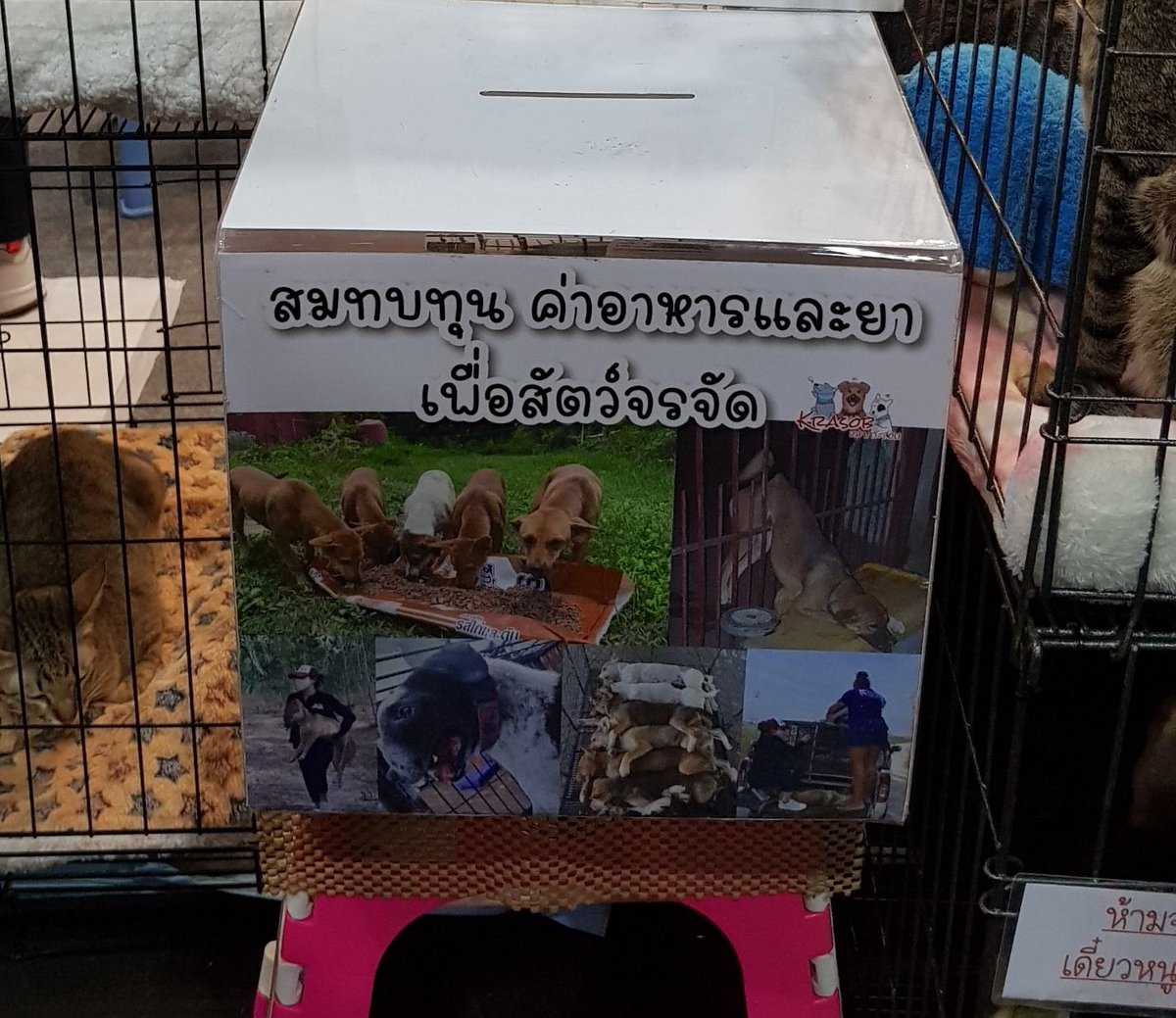 ppkritt_fc's tweet image. 2.บริจาคให้กับ &quot;หมากระสอบ&quot;
เพื่อสมทบทุน ค่าอาหารและยา ให้กับ
สัตว์จรจัด จำนวน 5,000 บาท 

🏠m.facebook.com/mahkrasob/

#HBDPP23rdProject 
#ppkritt #lovelyPP