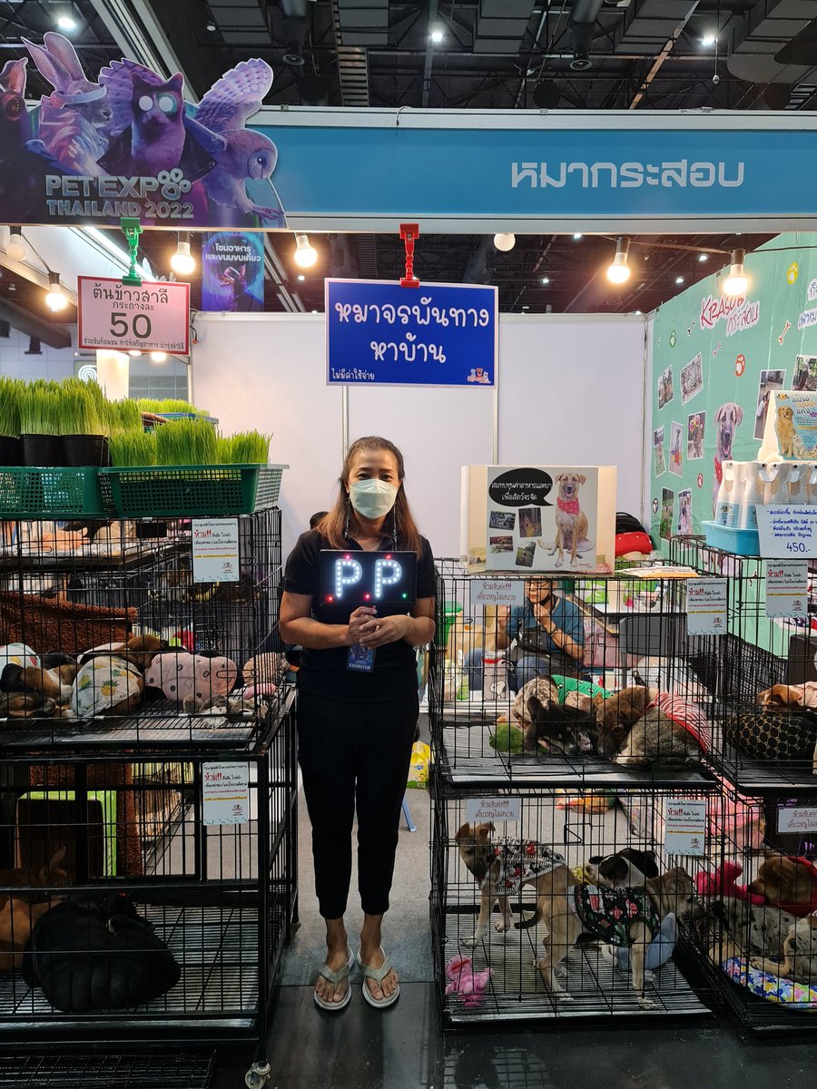 ppkritt_fc's tweet image. 2.บริจาคให้กับ &quot;หมากระสอบ&quot;
เพื่อสมทบทุน ค่าอาหารและยา ให้กับ
สัตว์จรจัด จำนวน 5,000 บาท 

🏠m.facebook.com/mahkrasob/

#HBDPP23rdProject 
#ppkritt #lovelyPP