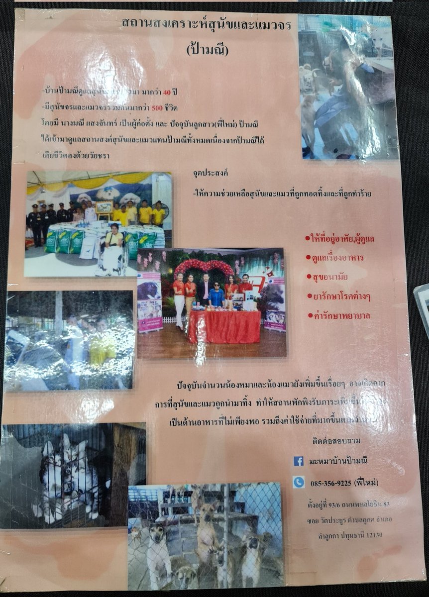 ppkritt_fc's tweet image. 3.บริจาคให้กับ
&quot;สถานสงเคราะห์สุนัขและแมวจรป้ามณี&quot;
จำนวน 5,000 บาท
เพื่อช่วยค่าอาหารและยารักษาโรคต่างๆ 

🏠facebook.com/maneesavedog/

#HBDPP23rdProject 
#ppkritt #lovelyPP