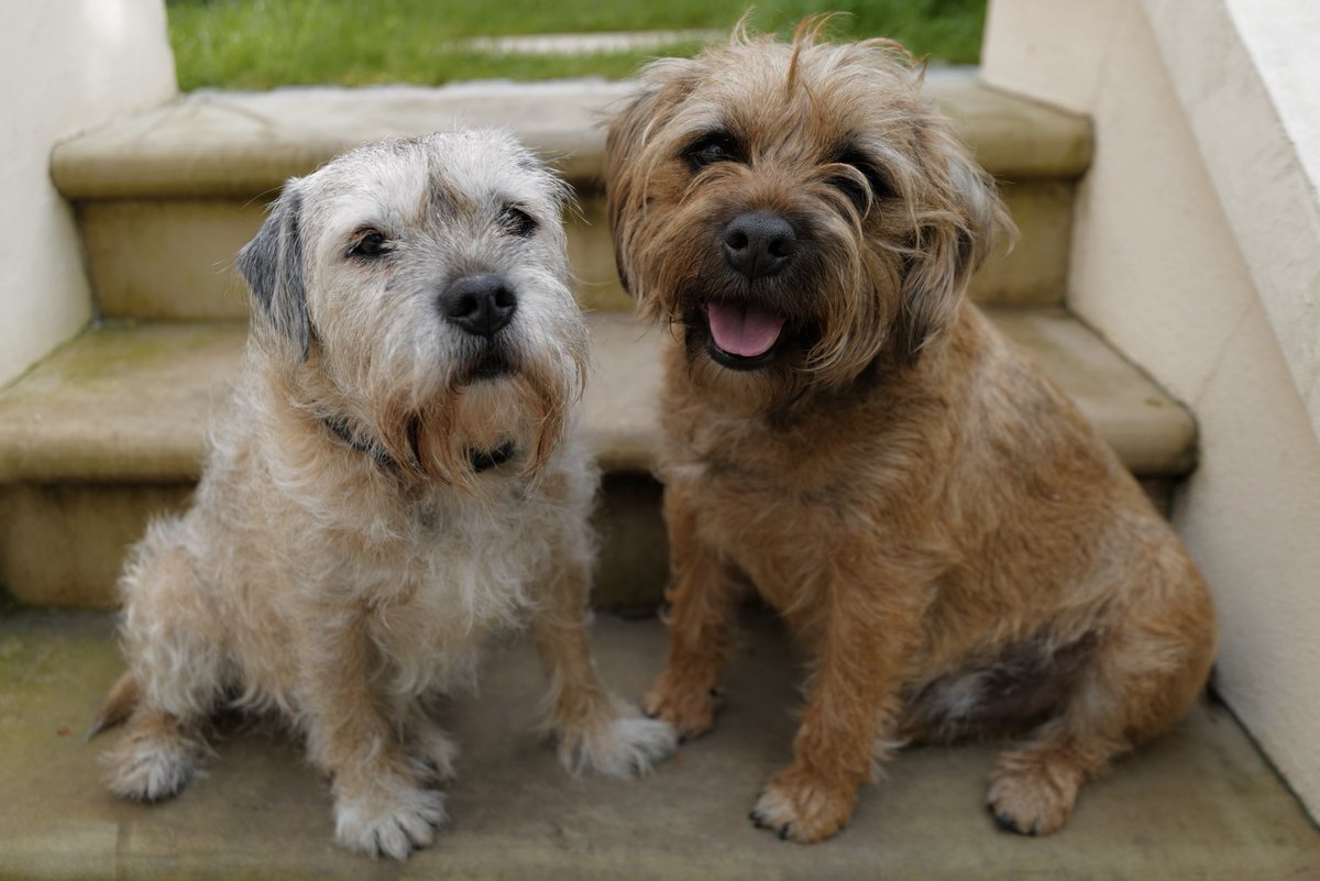 davidwalliams's tweet photo. Bert &amp; Ernie. https://t.co/Gh428YoWC6