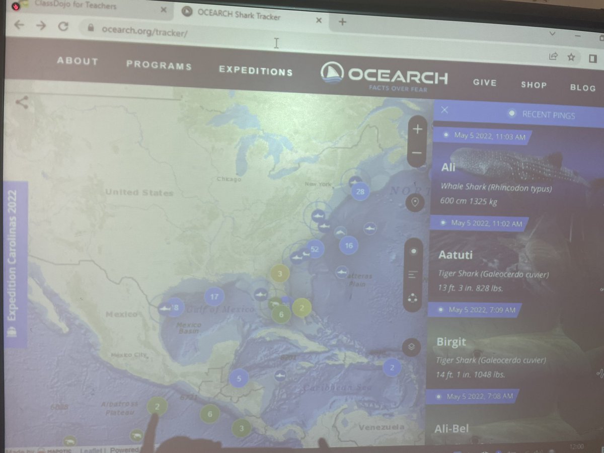 Gwyrosydd2014's tweet photo. Today in maths we used the Ocearch live Shark tracker to locate Sharks in different oceans around the world. We recorded how many miles they travelled over a 24hr period, then we used our maths skills to covert the miles to kilometres. #gspNUM #gspHUM #gspSCI https://t.co/6FPtndNyAU