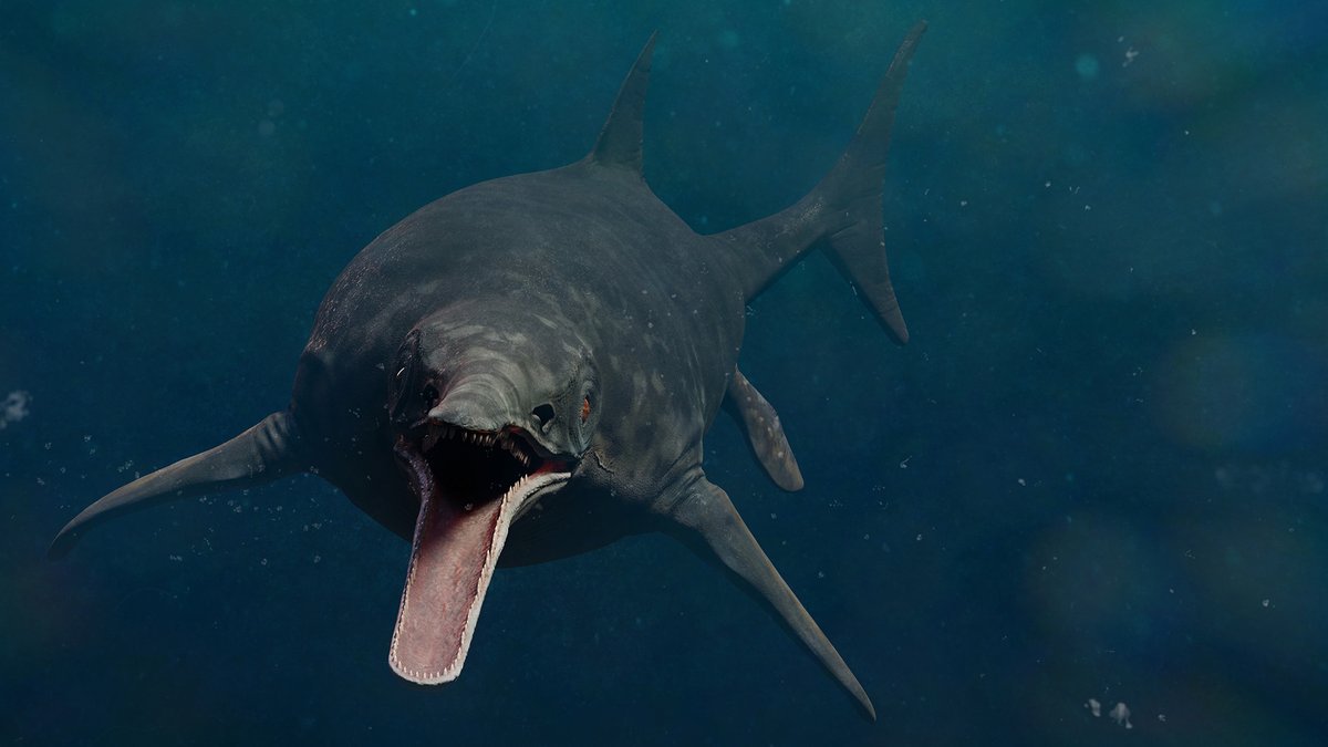 MetaphysicalMys's tweet photo. Researchers have just discovered that a 244-million-year-old fossil is an ichthyosaur – a sea predator from the Triassic period. https://t.co/N5pFio7TyZ
https://t.co/RDGb18gJIL
#Biology #Science #ScienceNews #TriassicPeriod #MarineBiology #Archaeology https://t.co/twVoyq8oAD