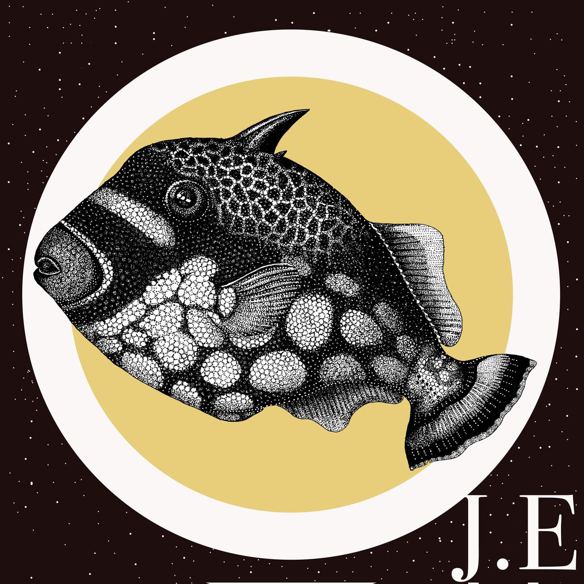 jessi_eggers's tweet image. Clown triggerfish, using disruptive coloration to obskure its silhouette.
#ichthyology #fishart #fishfacts #pfizerdocuments #coralreeffish #marineecology #tropicalfish #saltwaterfish