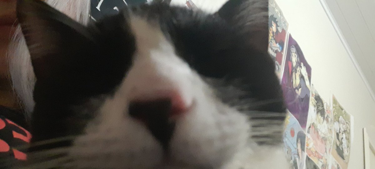 fieldobe's tweet image. 