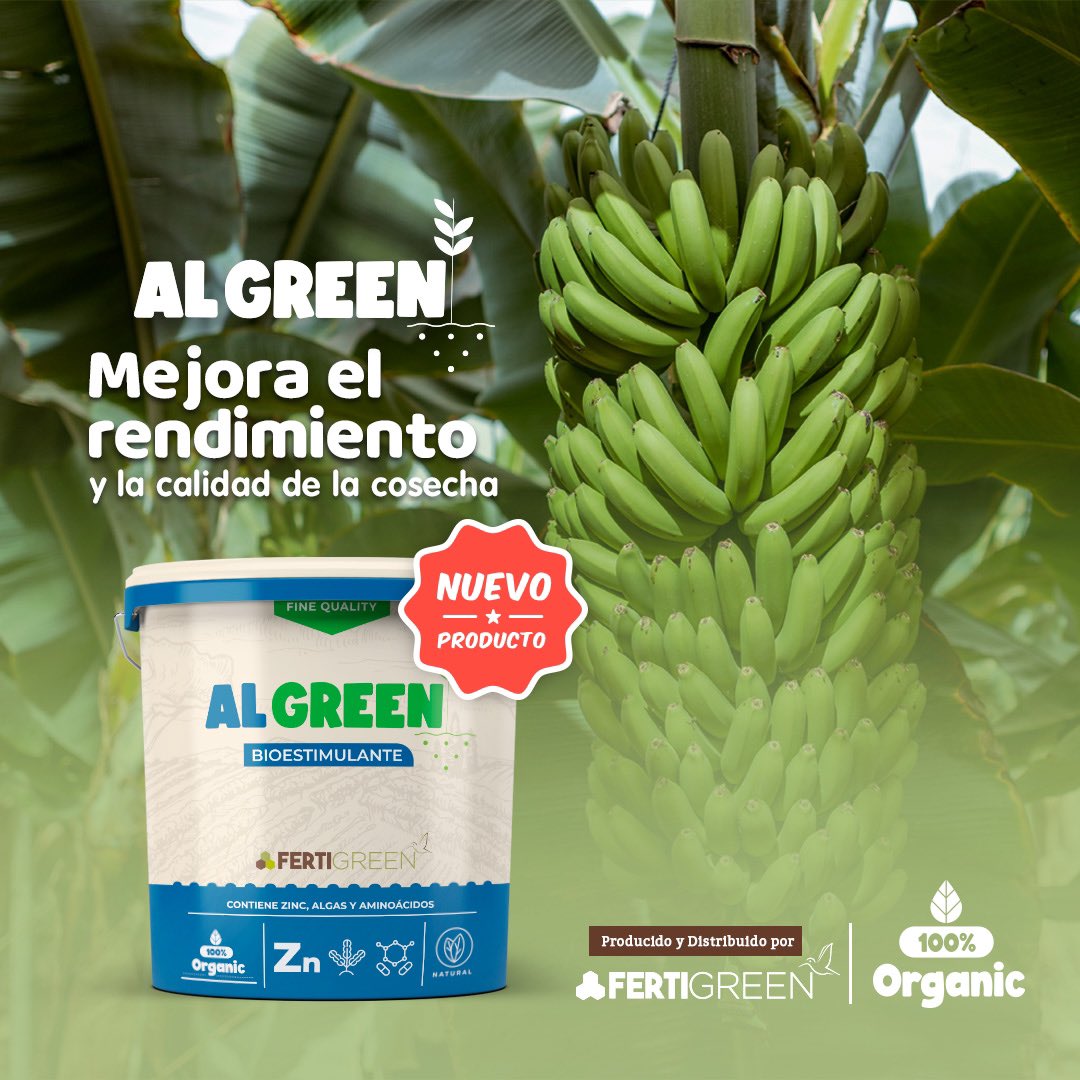 FertigreenEc's tweet photo. Promueve el crecimiento y desarrollo de los cultivos 
🍃ALGREEN 🌱
***************
ℹ️ Un Bioestimulante  Natural, que contiene:
- Algas Marinas
- Aminoácidos libres
- Zinc

Producido y distribuido por FERTIGREEN

🙋🏻‍♂️ | Contáctanos aquí 
📞 | (04) 2832-745
✉️ | info@fertigreen.com https://t.co/szT1O0h5mQ