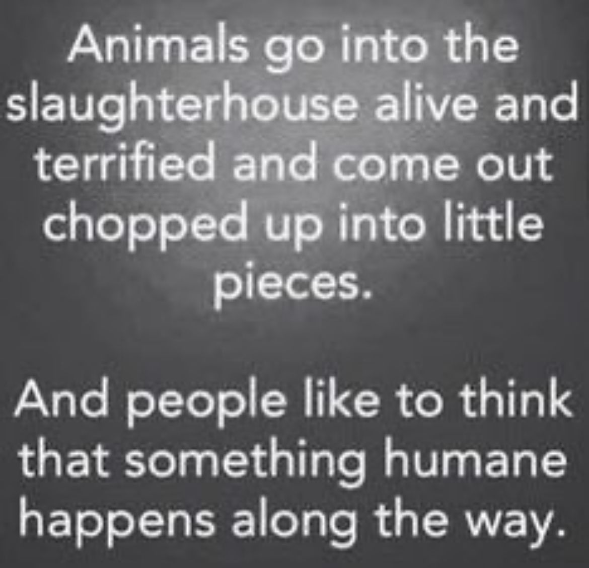MyVegan_Reach's tweet photo. What is humane about slaughtering a being? #vegan #GoVegan 🌱💯 https://t.co/k5KrUGBveL