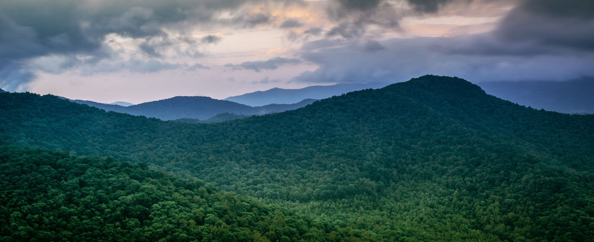 DecHardwoods's tweet photo. New Executive Order Will Impact U.S. Forests
https://t.co/pdy9VUL92I
#Hardwood #Hardwoods #ClimateChange #ManagedForests https://t.co/hJQ9w5BIOi