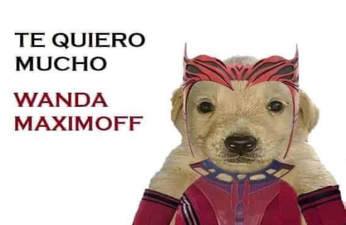 HidenCrow09's tweet photo. Yo viendo como #Wanda mata a un chingo de gente:

#WandaMaximoff #DoctorStrange #MultiversoDeLaLocura https://t.co/4r0b32q4Eq