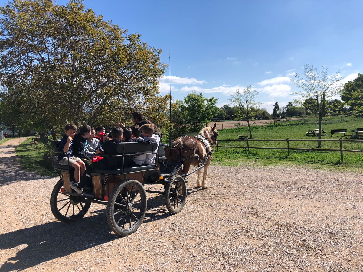 epiasabadell's tweet photo. UN DIA PLE D'AVENTURES
Seguim sense parar a les convivències. Tir amb arc, excursions, circuits d'aventures... en tot moment estem entretinguts!! Fa molt bon temps i estem gaudint molt!
#3RPRIPIASABADELL
#4TPRIPIASABADELL https://t.co/Cpeqrmda0I