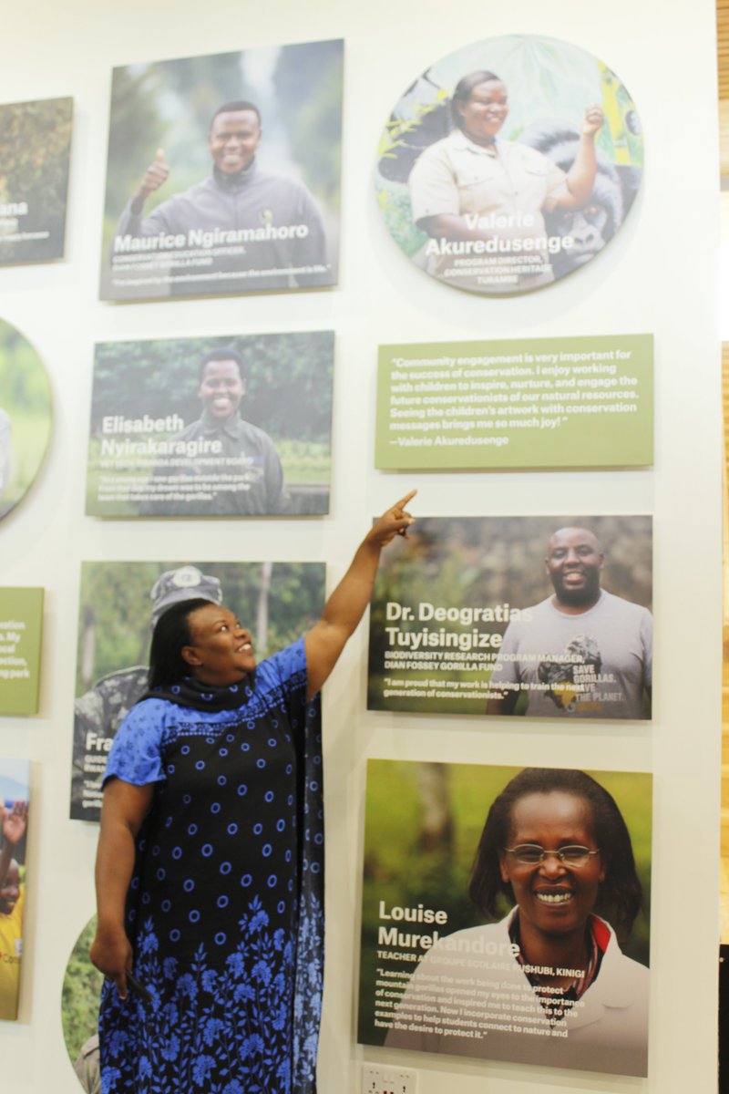 chturambe's tweet photo. Have you ever been at this beautiful, amazing and inspiring place? CHT Team has been there today! Please go if you haven's gone!! Thank you @TheEllenFund @SavingGorillas for the opportunity you are offering the Rwandan community and the World to learn about mountain gorillas. https://t.co/A31o8pkN7l