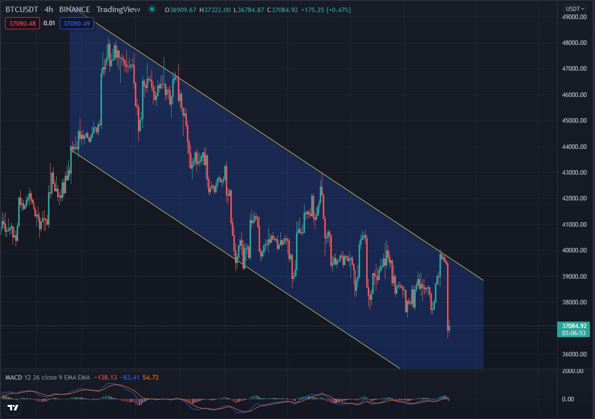 GR_312's tweet photo. #Bitcoin #ETH    The downward trend of BTC has never changed, and every rise is an opportunity to enter a short position. Top trading thinking and simple trading strategies will bring you to create wealth. https://t.co/0Qpkb5Hq6D