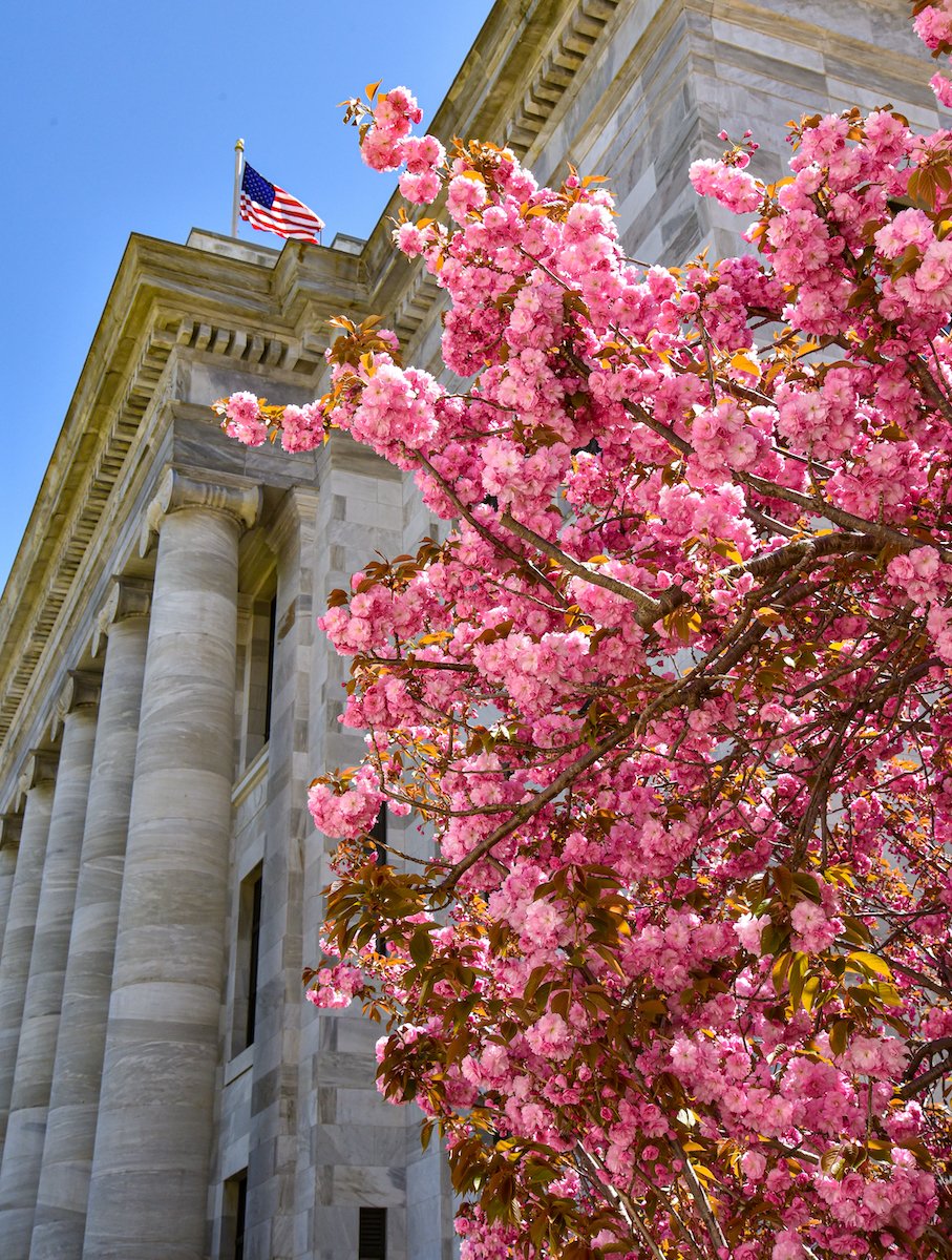 Blooming flowers in front of Gordon Hall