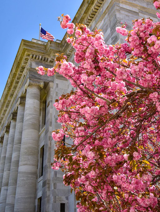 Blooming flowers in front of Gordon Hall