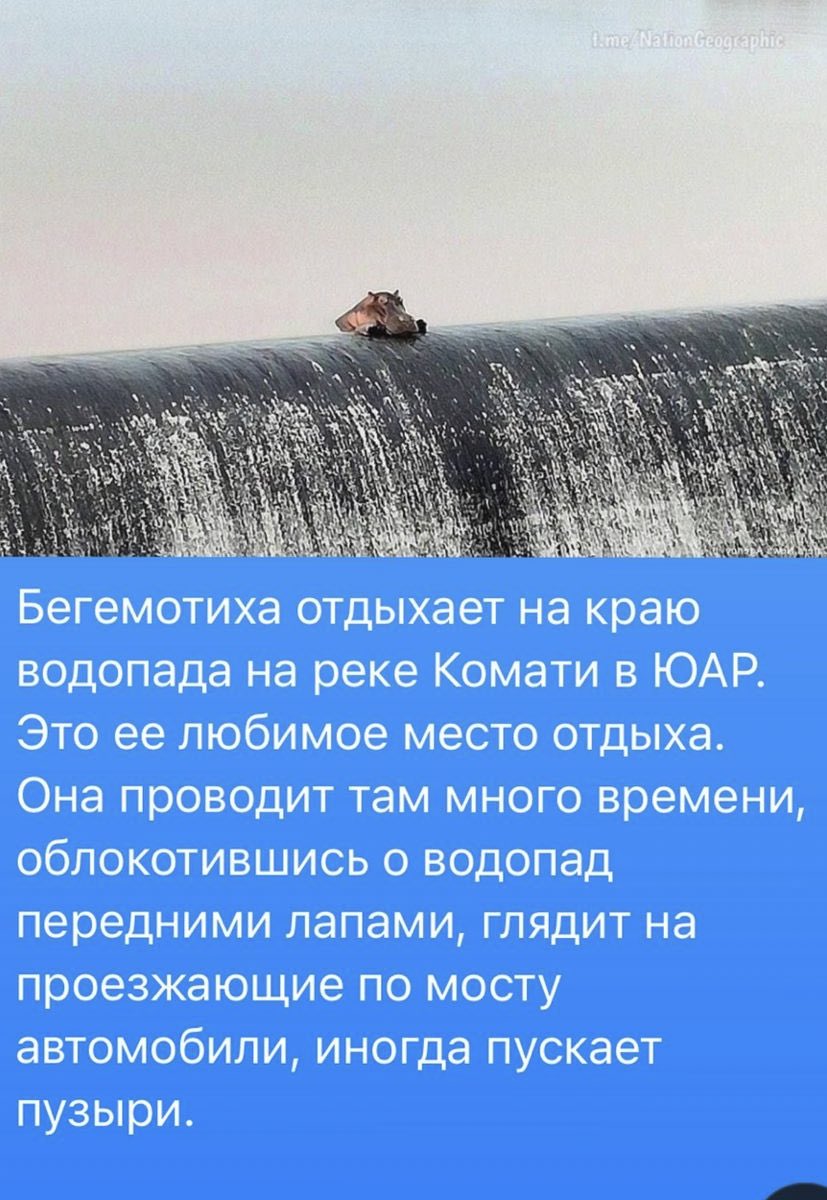 dixhead3000's tweet photo. я ей завидую https://t.co/kuwp1JrrgK