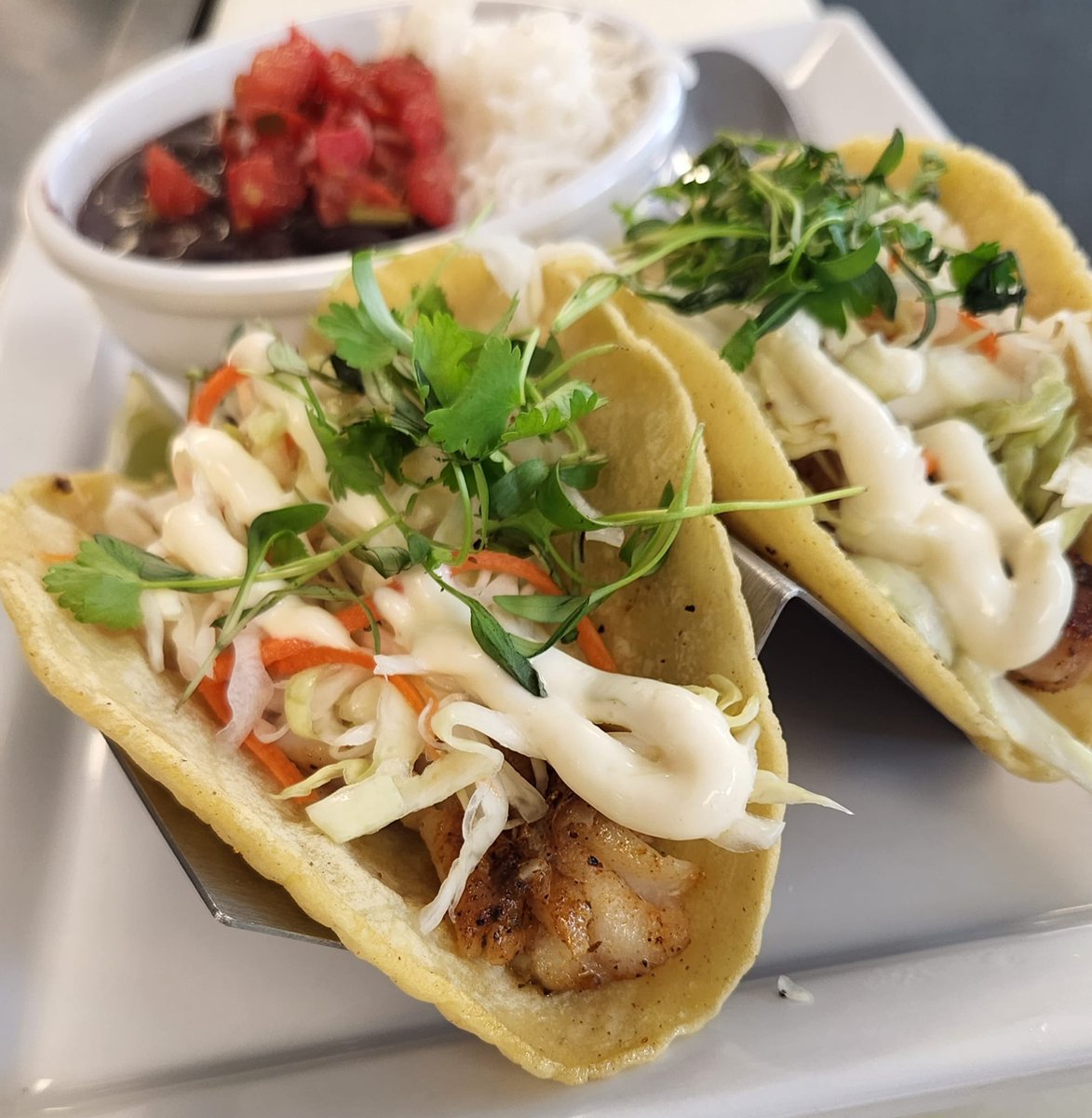 T2Traders's tweet photo. Happy Cinco de Mayo!! We're celebrating today with our grouper tacos made with a house slaw, lime aoli, fresh cilantro, and black beans and rice. Also available in blackened shrimp, mahi, or our sweet potato tacos! https://t.co/HEDqDnTEfQ
