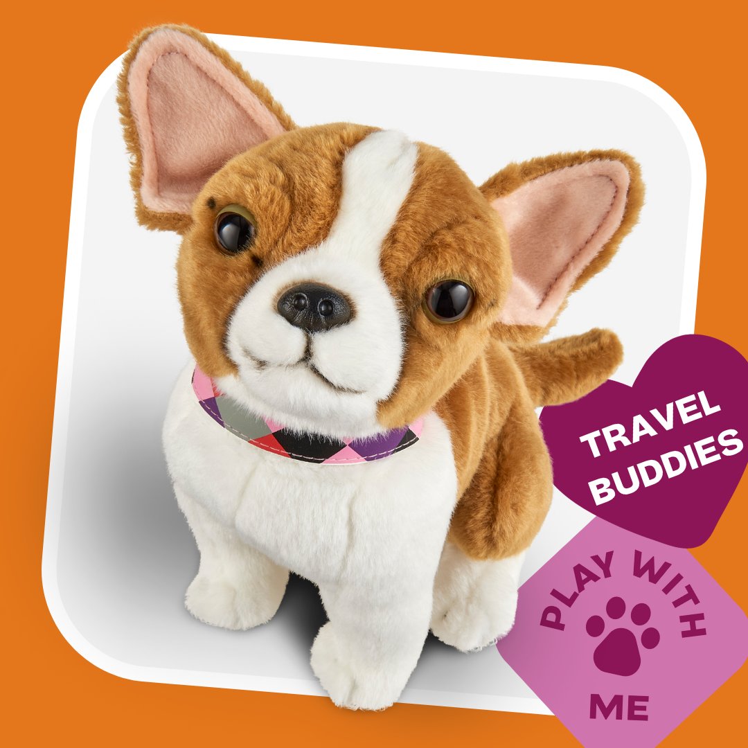 LivingNatureToy's tweet photo. It is #CincoDeMayo Day🇲🇽🎉
This day honors all #MexicoCulture and heritage and is widely celebrated and enjoyed by the locals! Did you know #Chihuahuas are named after a Mexican state? How will you #celebrate today?🤍 https://t.co/whomYlqTiy