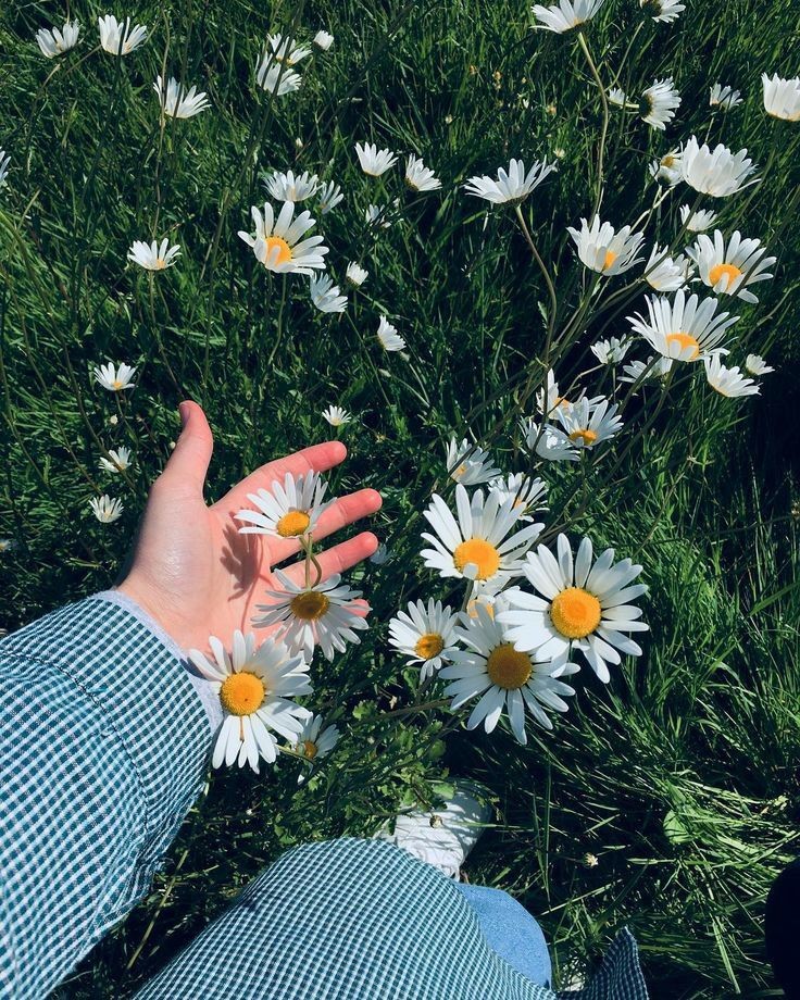 Ellerim çiçek kokuyor diye beni çiçek koparmakla suçladılar. Fakat kimse çiçek dikmiş olabileceğimi düşünmedi.