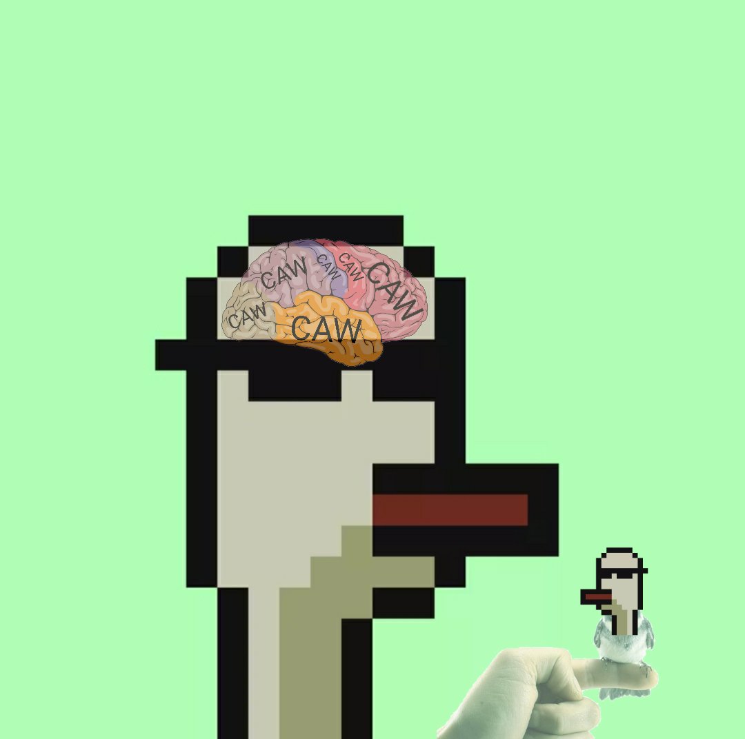 Cesarami91's tweet photo. Today is #thugday. Were are my fellow birdz.
@thugbirdz
@thugDAO https://t.co/LGypKzIEj8