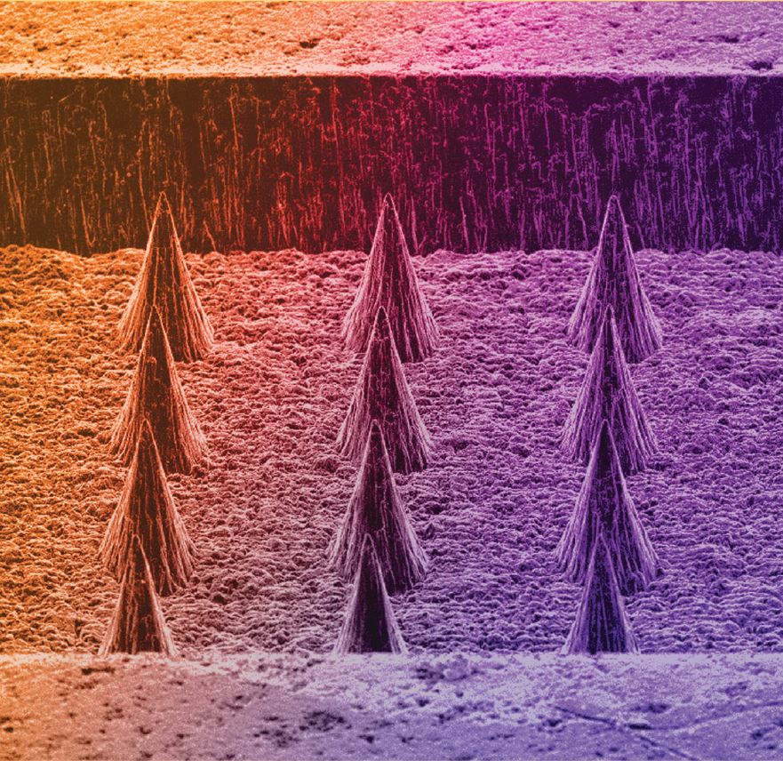 AVS_Members's tweet photo. Vacuum Nanoelectronics – JVST B Special Topic Collection @JVSTA https://t.co/nyNDIzbPgL
https://t.co/G4G4GIuu6J https://t.co/iDLbfpr2Ud