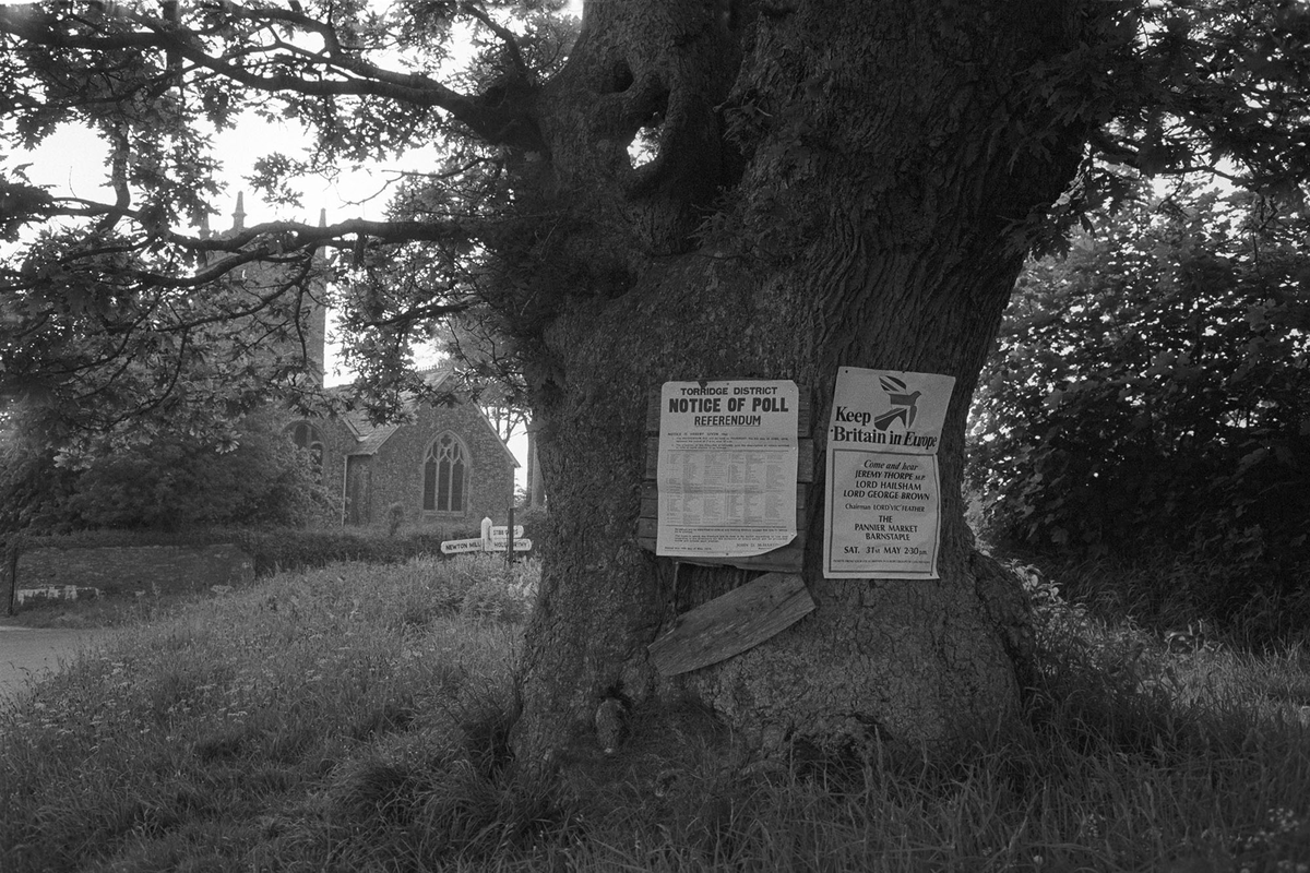 James Ravilious tweet media