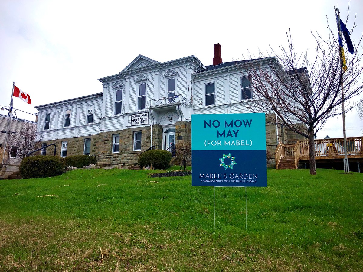 AGMabelBell's tweet photo. We are supporting #nomowmay to show our support for our beloved Mabel Bell's passion and knowledge for the natural world.  You can too!  Signs can be picked up @victoria_county offices in Baddeck Monday-Friday 8:30 - 4:30. https://t.co/36YCYEbZaF